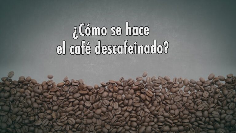 ¡Descubre el secreto del café descafeinado! ¿Cómo lo hacen?